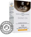 BioNike Vopsea pentru par Nr. 5.3 Golden Light Brown Shine On, 1 bucata, Bionike