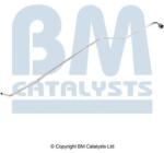 Bm Catalysts Conducta de presiune, senzor de presiune (filtru particule) BM CATALYSTS PP11191B (PP11191B)