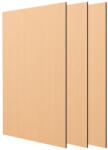 Naimeed Company Pachet 3 placi cristal carbon, D6654, 1220 x 890 x 5 mm, Lemn Deschis (DF-D6654)