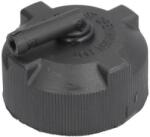 THERMOTEC Buson, vas expansiune THERMOTEC DBIV010TC (DBIV010TC)