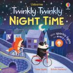 Usborne Twinkly Twinkly Night Time - Carte cu lumini pentru copii 6+ luni, Usborne (9781474991810)