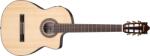 Ibanez GA380CE NT