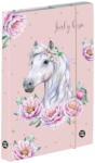 KARTON P+P Cutie caiete A4 Jumbo cu cai