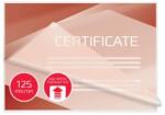 GBC Folii de laminare GBC pentru laminare rapidă, 125 mic, 100 buc