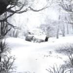 Weezer - Sznz: Winter (Clear Coloured) (LP) (0075678615191)