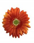 Wera Gerbera nagy fejű 16 cm narancssárga (W298#12)