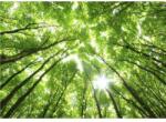 Wizard+Genius Fototapet natura WG 5439-8 384x260 cm