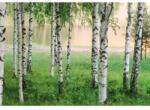 Wizard+Genius Fototapet natura WG 00290 366x254 cm