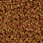 sera Turtle Adult Carnivore Duo Pellets 250 ml