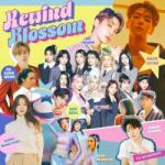 Daniel Shopping s. r. o Rewind: Blossom: Kassette - MC