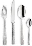 Amefa Set tacamuri Amefa Felicity, inox 18/0, 3 mm, 24 piese Tacam