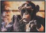  Tablou Chico Monkey 50/3, 8/70 cm (2080601)