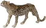  Statueta leopard 59/13/28 cm (2070777)