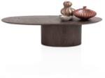  Masuta de cafea Trenton maro 120/50/30 cm (52288-CLA) Masa de cafea