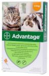 Bayer Advantage 40 Cat/ Rabbit x 4 Pipete