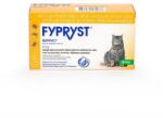 KRKA Fypryst Cat Spot On 50 mg, pipeta antiparazitara pisici, 1 buc