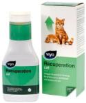 Viyo Recuperation Cat, 150 ml