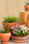 Vilo Lambriu PVC Vilo de perete, decor Pin - 3, 15 mp cutie (10 bucati), 3000 105 8 mm (DF-3007129)
