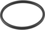 HANS PRIES Garnitura termostat HANS PRIES 104 534 (104 534)