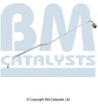 Bm Catalysts Conducta de presiune, senzor de presiune (filtru particule) BM CATALYSTS PP11191A (PP11191A)