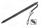 AIC Motor electric, haion AIC 75566 (75566)