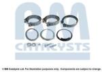Bm Catalysts Set montaj, filtru funingine/particule BM CATALYSTS FK11292C (FK11292C)