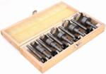 Kraft&Dele Set de burghie și freze pentru găuri 10 buc 64960 (KD979) Burghiu