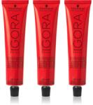 Schwarzkopf IGORA Royal culoare par ambalaj economic culoare 6-00 Dark Blonde Natural Extra