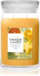 Yankee Candle Starfruit & Sunshine lumânare parfumată 567 g