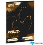 Ars Una Füzet vonalas ARS UNA A/5 32 lapos 21-32 4-8. osztályos Wild In The Dark