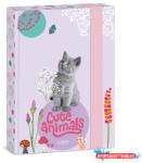 Ars Una Füzetbox ARS UNA A/5 Cute Animals-Kitten