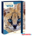 Ars Una Füzetbox ARS UNA A/4 Icons of the Wild-Serval - nyomtassotthon