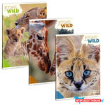 Ars Una Füzet kockás ARS UNA A/4 40 lapos Extra kapcsos Icons of the Wild - nyomtassotthon