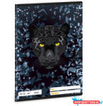 Ars Una Füzet sima ARS UNA A/5 32 lapos 20-32 Black Panther
