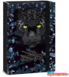 Ars Una Füzetbox ARS UNA A/4 Black Panthers