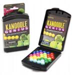 Learning Resources Oktatási betekintés Iq játék Kanoodle Genius (EI-2978)