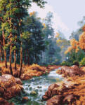 Ideyka Festés számok szerint - Erdei folyó 40*50 cm