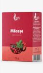 Larix Ceai Macese 75G