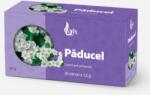 Larix Ceai Paducel 20 plicuri