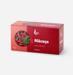 Larix Ceai Macese 20 plicuri