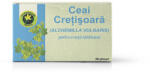 Hypericum Plant Ceai Cretisoara 20 plicuri