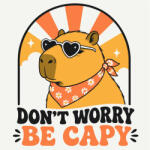 Alkotásutca Laza Capybara - Számfestő készlet kereten gyerekeknek 20x20