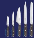 Judge Set de cutite Pro cu suport din lemn, 5 piese, Judge (HO-IW60)