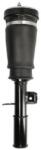 Magnum Technology Brat arc pneumatic MAGNUM TECHNOLOGY APB019MT (APB019MT)