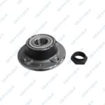 GSP Set rulment roata GSP 9232011K (9232011K) - fixbox