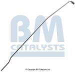 Bm Catalysts Conducta de presiune, senzor de presiune (filtru particule) BM CATALYSTS PP31040A (PP31040A)