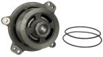 THERMOTEC Pompa apa, racire motor THERMOTEC WP-IV109 (WP-IV109)