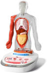 TopBright ScienceCan Joc STEM Anatomia umana, TopBright (BO-TB_160022)