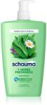 Schwarzkopf Schauma 7 Herbs Freshness sampon pe baza de plante pentru par normal spre gras 1000 ml
