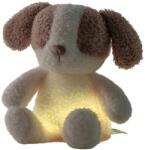 Nattou Catel de pluș cu lampa de veghe bebe, Teddy Baby teddy vanilie (14AE24)